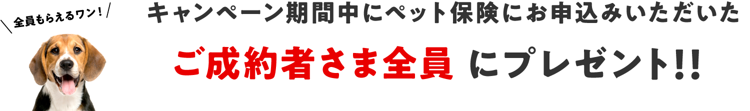 キャンペーン期間中にペット保険にお申込みいただいたご成約者さま全員にプレゼント！