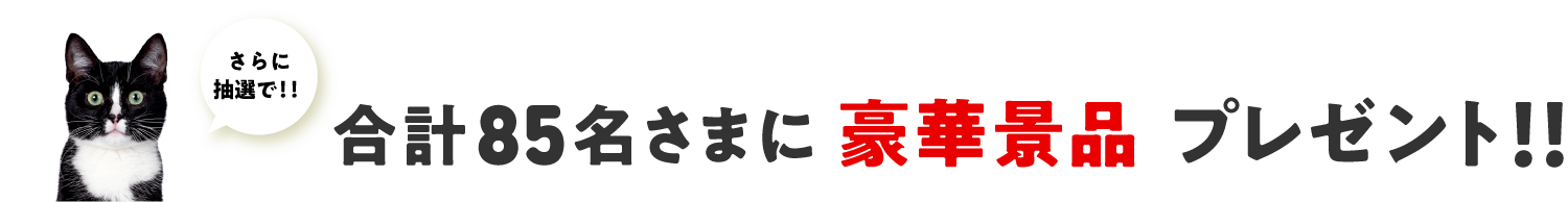 さらに！抽選で豪華景品プレゼント！