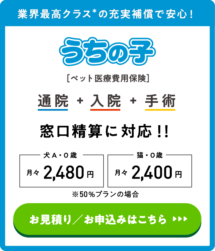 業界最高クラスの充実補償で安心！うちの子