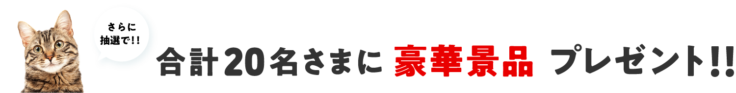 さらに！抽選で豪華景品プレゼント！