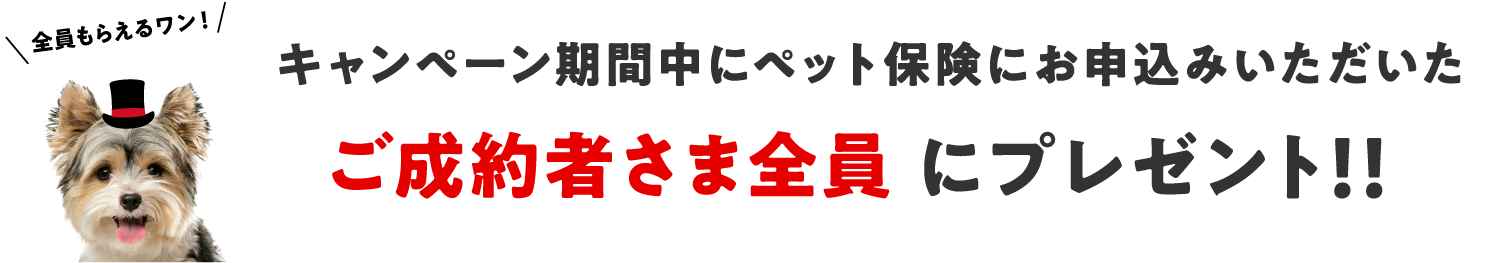 キャンペーン期間中にペット保険にお申込みいただいたご成約者さま全員にプレゼント！