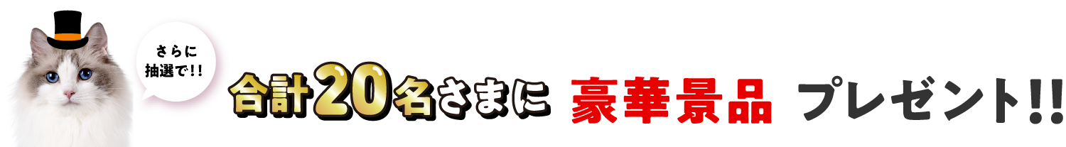 さらに！抽選で豪華景品プレゼント！