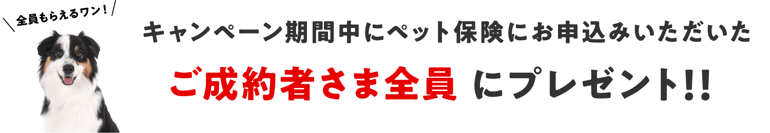 キャンペーン期間中にペット保険にお申込みいただいたご成約者さま全員にプレゼント！