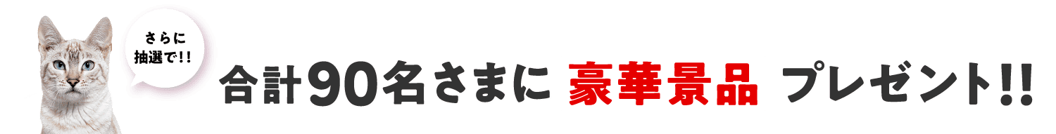 さらに！抽選で豪華景品プレゼント！