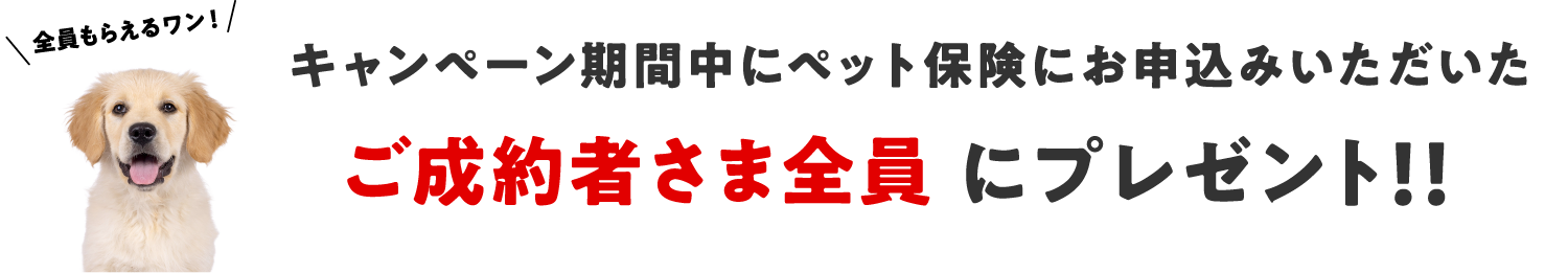 キャンペーン期間中にペット保険にお申込みいただいたご成約者さま全員にプレゼント！