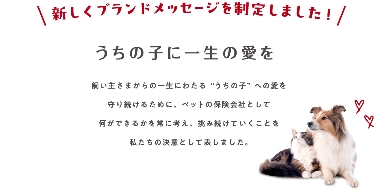 新しくブランドメッセージを制定しました！「うちの子に一生の愛を」飼い主さまからの一生にわたる“うちの子”への愛を守り続けるためにペットの保険会社として何ができるかを常に考え、挑み続けていくことを私たちの決意として表しました。