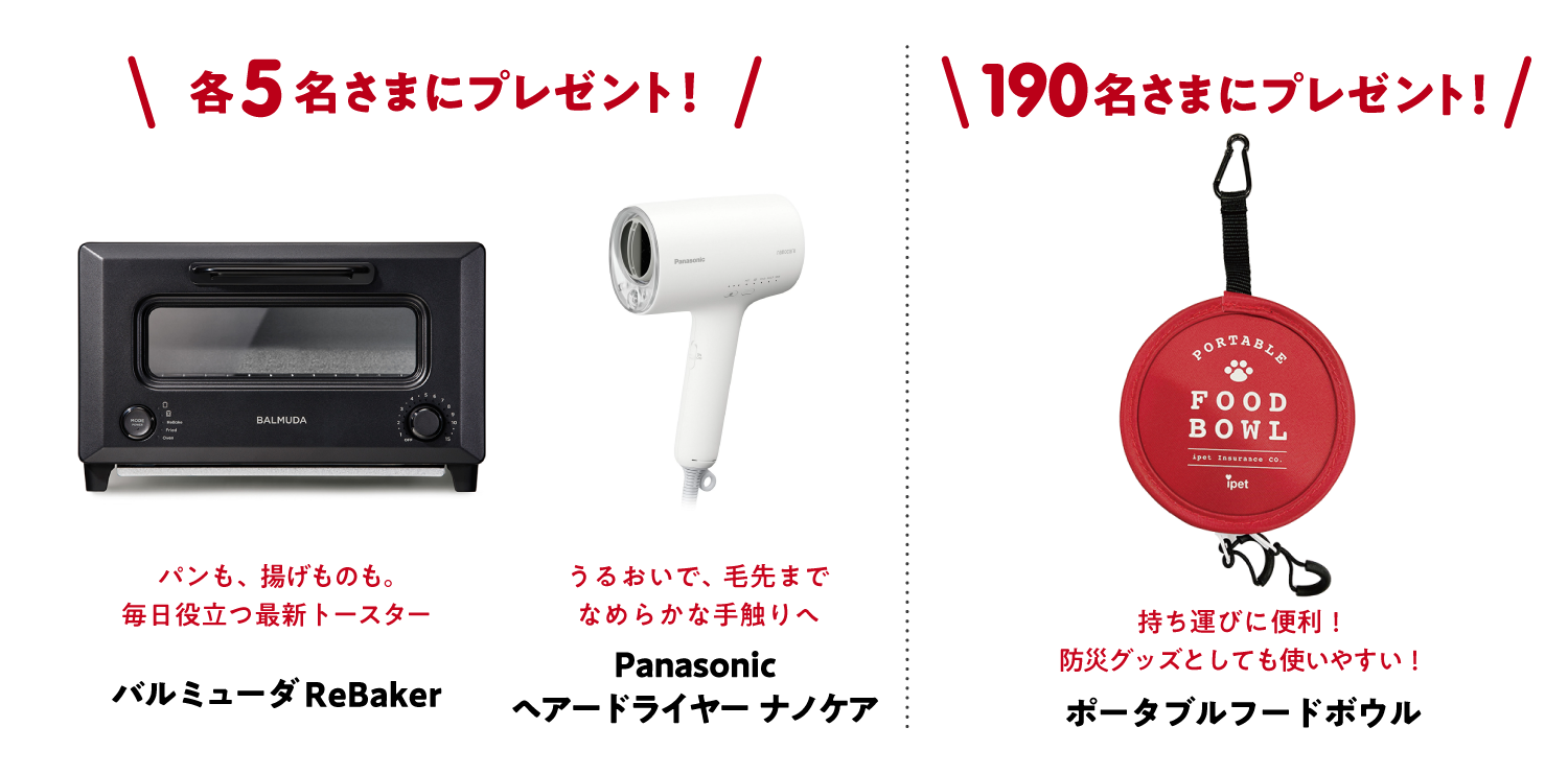 抽選で豪華景品プレゼント！