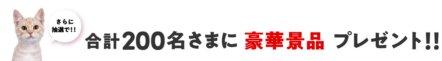 さらに！抽選で豪華景品プレゼント！