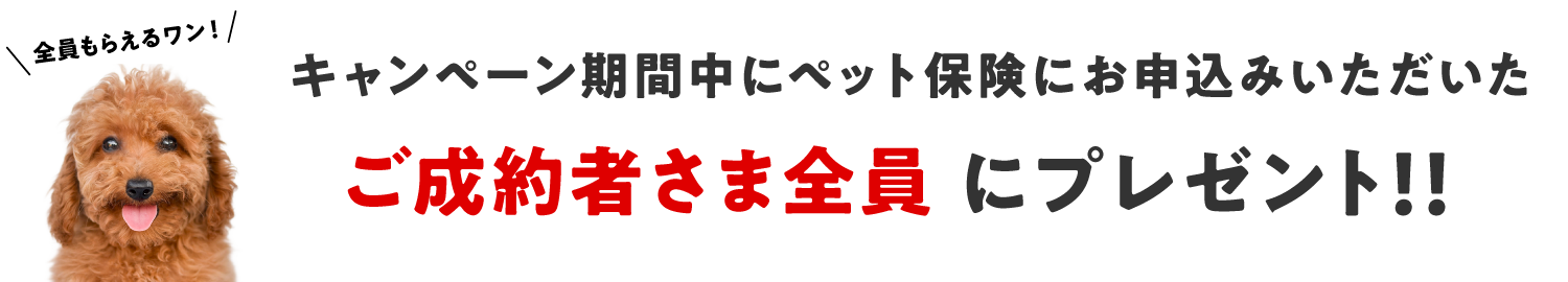 キャンペーン期間中にペット保険にお申込みいただいたご成約者さま全員にプレゼント！