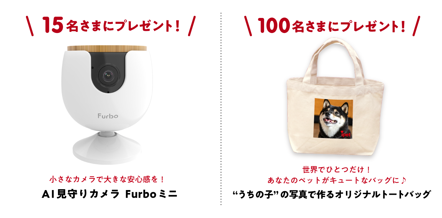 抽選で合計115名さまに豪華景品プレゼント！