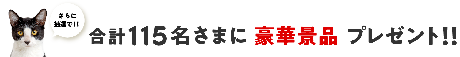 抽選で合計115名さまに豪華景品プレゼント！