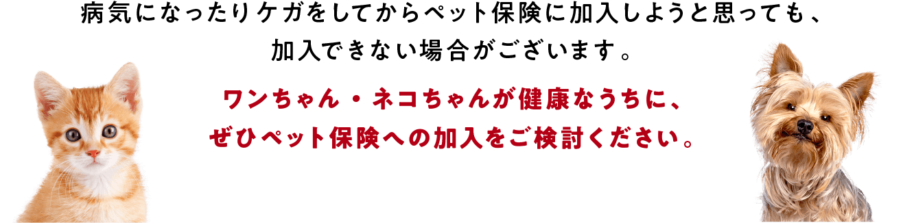 病気やケガをしてからペット保険に加入しようと思っても、加入できない場合がございます。ワンちゃん・ネコちゃんが健康なうちに、ぜひペット保険への加入をご検討ください。