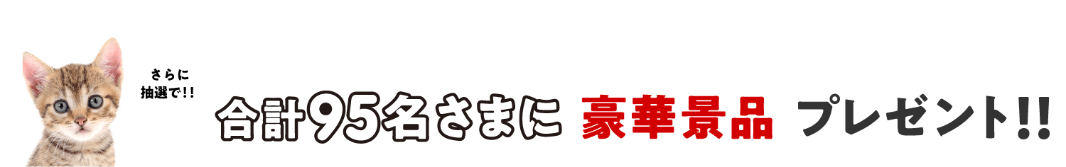 抽選で合計115名さまに豪華景品プレゼント！