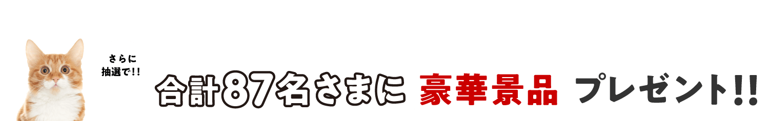 抽選で合計87名さまに豪華景品プレゼント！