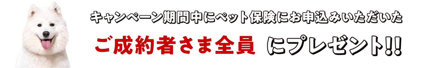 キャンペーン期間中にペット保険にお申込みいただいたご成約者さま全員にプレゼント！