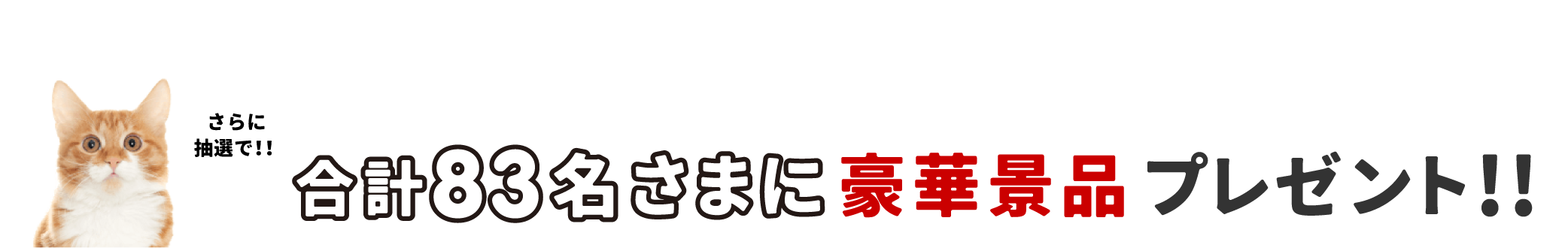 抽選で合計83名さまに豪華景品プレゼント！