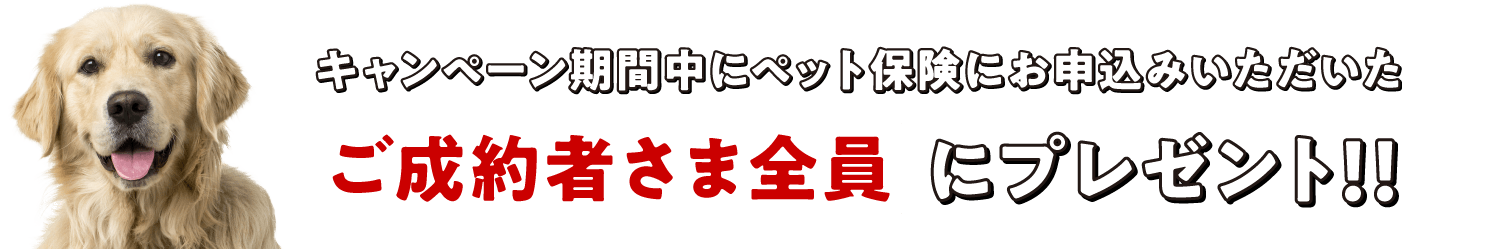キャンペーン期間中にペット保険にお申込みいただいたご成約者さま全員にプレゼント！