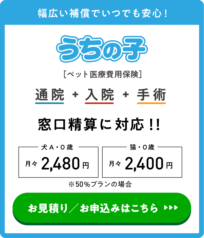 幅広い補償でいつでも安心！うちの子