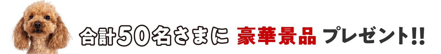 抽選で合計50名さまに豪華景品プレゼント！