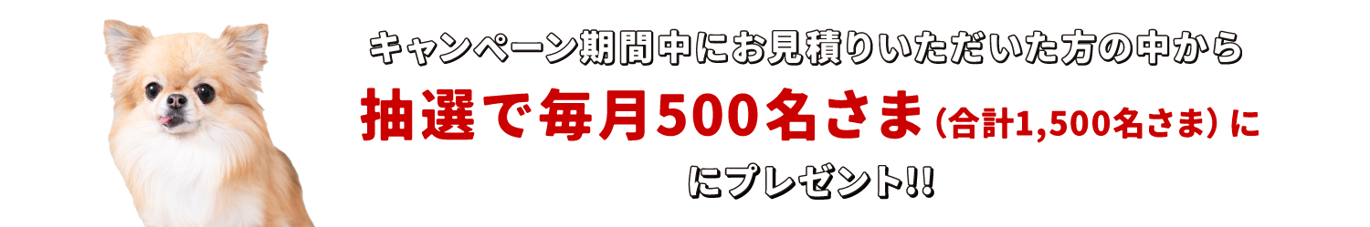 キャンペーン期間中にペット保険にお見積りいただいたご成約者さま全員にプレゼント！