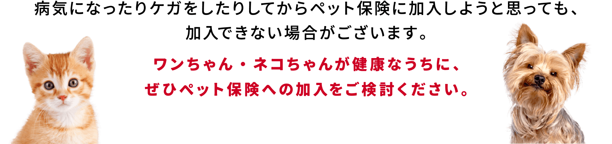 病気やケガをしてからペット保険に加入しようと思っても、加入できない場合がございます。ワンちゃん・ネコちゃんが健康なうちに、ぜひペット保険への加入をご検討ください。
