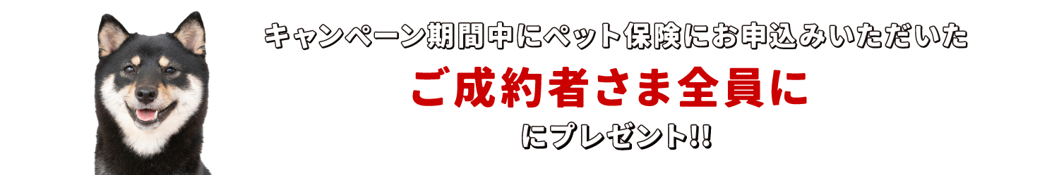 抽選で合計50名さまに豪華景品プレゼント！