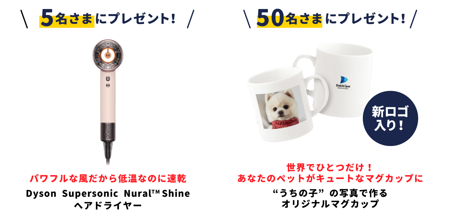 抽選で合計50名さまに豪華景品プレゼント！