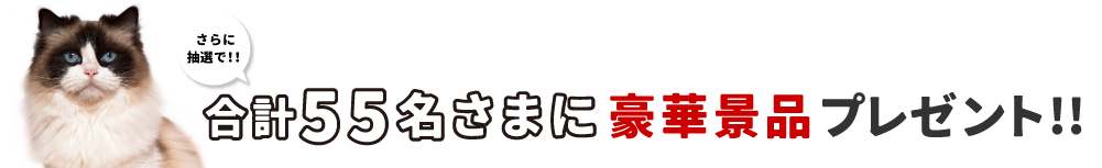 抽選で合計5名さまに豪華景品プレゼント！