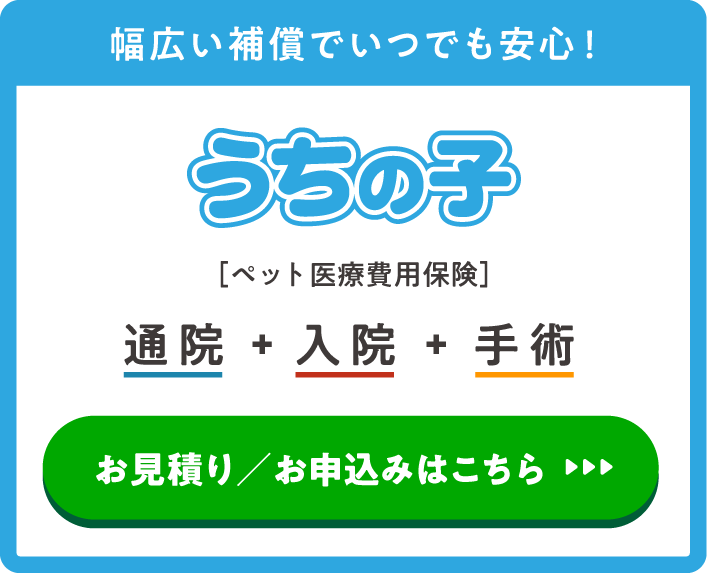 幅広い補償でいつでも安心！うちの子