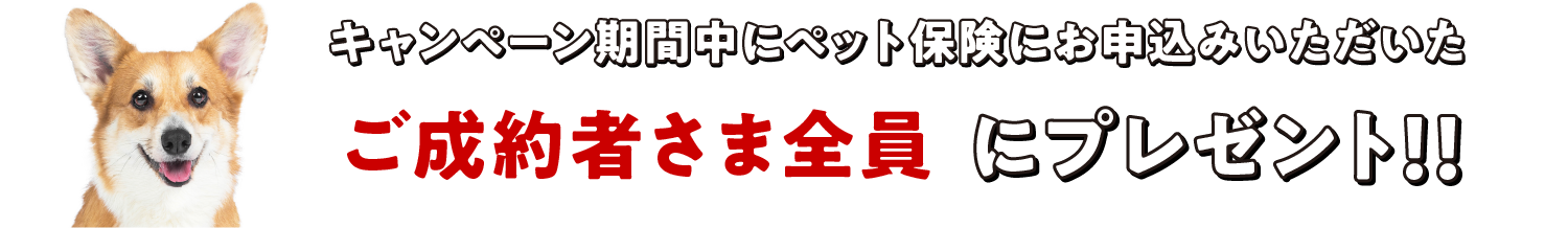 キャンペーン期間中にペット保険にお申込みいただいたご成約者さま全員にプレゼント！