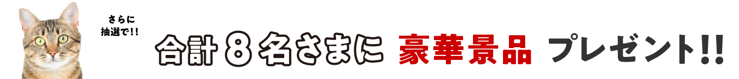 抽選で合計50名さまに豪華景品プレゼント！