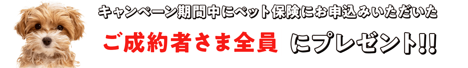 キャンペーン期間中にペット保険にお申込みいただいたご成約者さま全員にプレゼント！