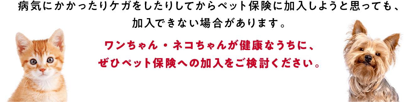 病気にかかったりケガをしたりしてからペット保険に加入しようと思っても、加入できない場合があります。ワンちゃん・ネコちゃんが健康なうちに、ぜひペット保険への加入をご検討ください。