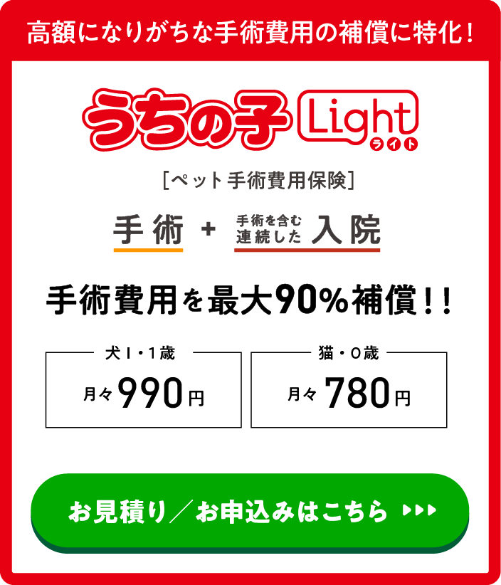 高額になりがちな手術費用の補償に特化！うちの子ライト