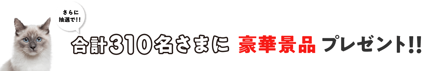 抽選で合計50名さまに豪華景品プレゼント！
