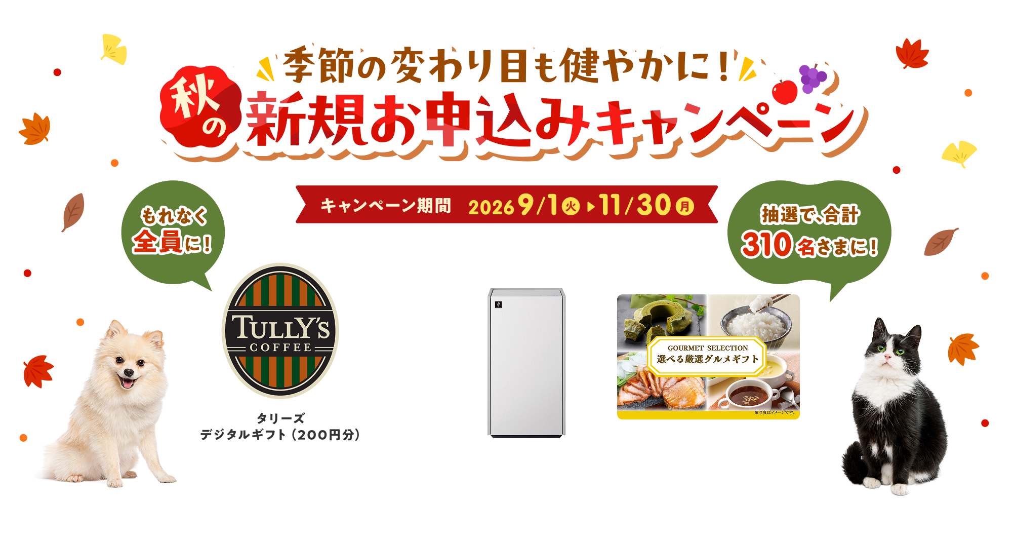 季節の変わり目も健やかに！秋の新規お申込みキャンペーン