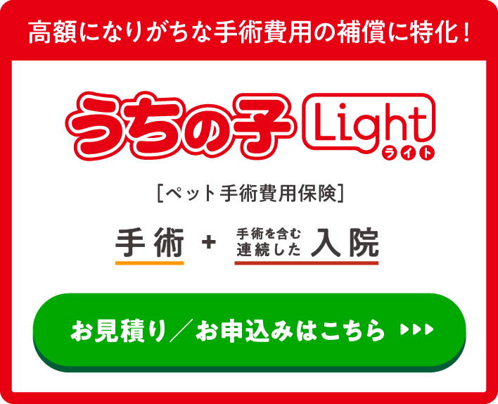 高額になりがちな手術費用の補償に特化！うちの子ライト