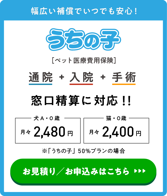 幅広い補償でいつでも安心！うちの子
