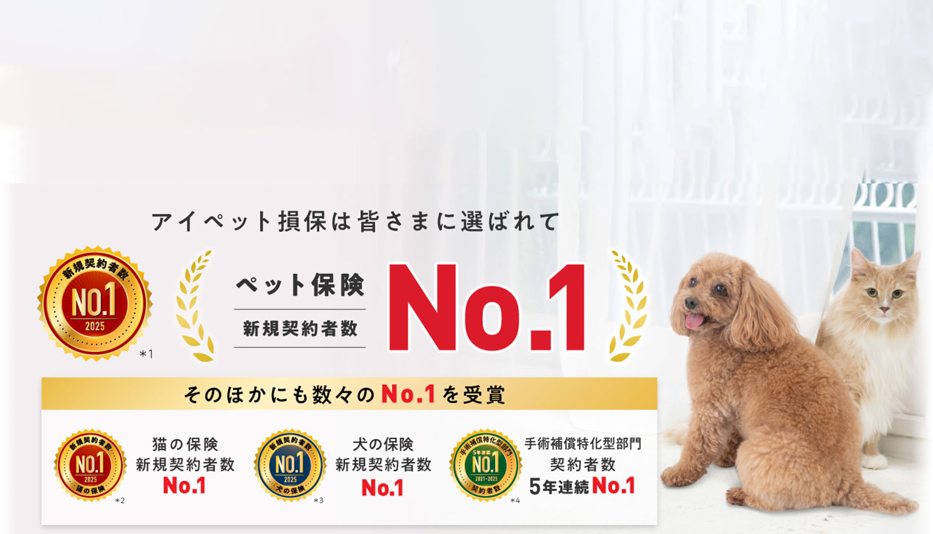 アイペット損保は皆さまに選ばれてペット保険新規契約者数No.1
