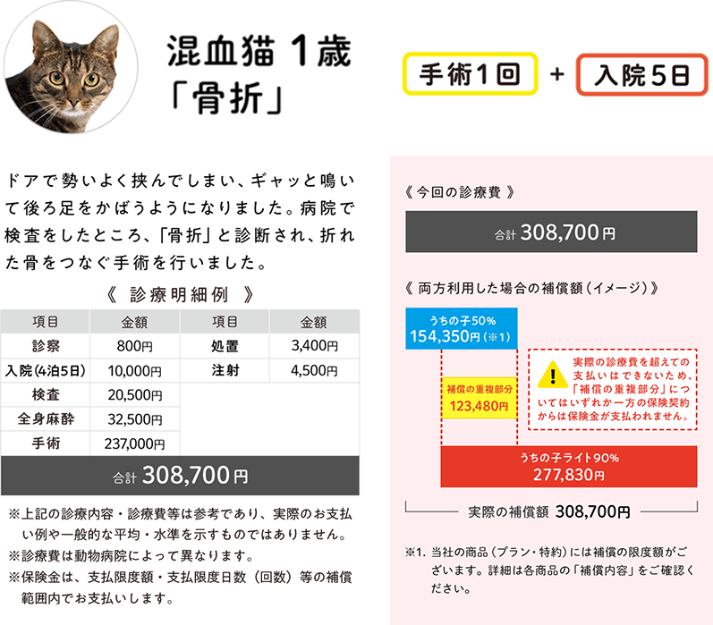 混血猫1歳「骨折」の診療費の支払いイメージ