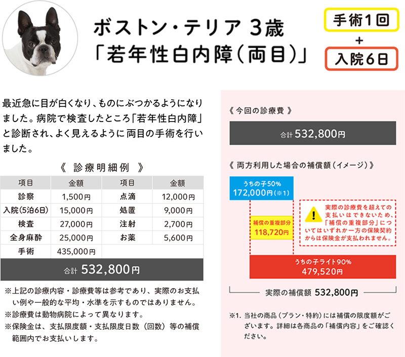 ボストン・テリア3歳「若年性白内障（両目）」の診療費の支払いイメージ