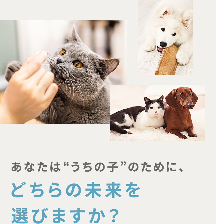 あなたは“うちの子”のために、どちらの未来を選びますか?