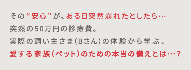 その“安心”が、ある日突然崩れたとしたら…突然の50万円の診療費。実際の飼い主さま(Bさん)の体験から学ぶ、愛する家族(ペット)のための本当の備えとは…?