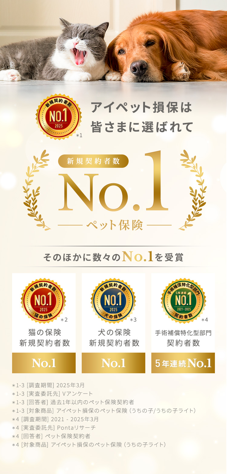アイペット損保は皆さまに選ばれてインターネット契約者数ペット保険No.1 そのほかに数々のNo1を受賞【猫の保険契約者数3年連続No.1】【犬の保険新規契約者数3年連続No.1】【手術補償特化型部門契約者数4年連続No.1】