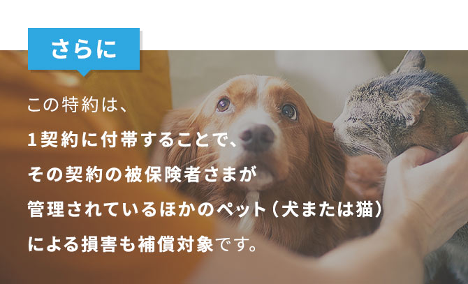 さらにこの特約は、1契約に付帯することで、その契約の被保険者さまが管理されているほかのペット(犬または猫)による損害も補償対象です。