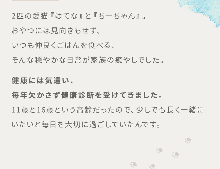 2匹の愛猫『はてな』と『ちーちゃん』。おやつには見向きもせず、いつも仲良くごはんを食べる、そんな穏やかな日常が家族の癒やしでした。健康には気遣い、毎年欠かさず健康診断を受けてきました。11歳と16歳という高齢だったので、少しでも長く一緒にいたいと毎日を大切に過ごしていたんです。