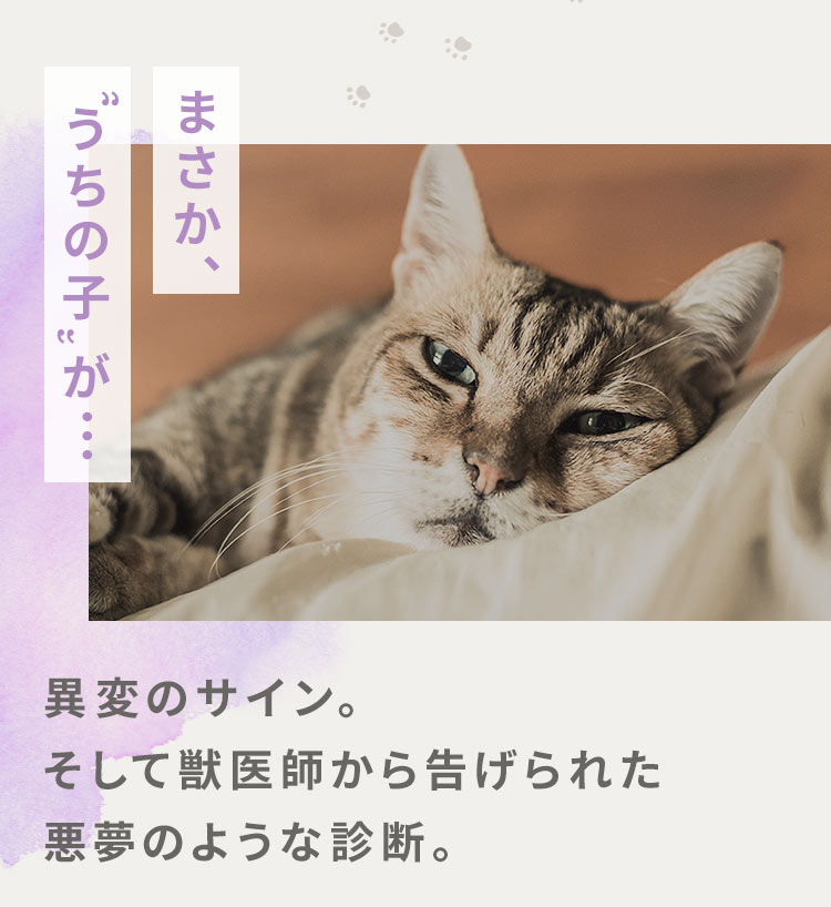 「まさか、 うちの子 が…」異変のサイン。そして獣医師から告げられた悪夢のような診断。