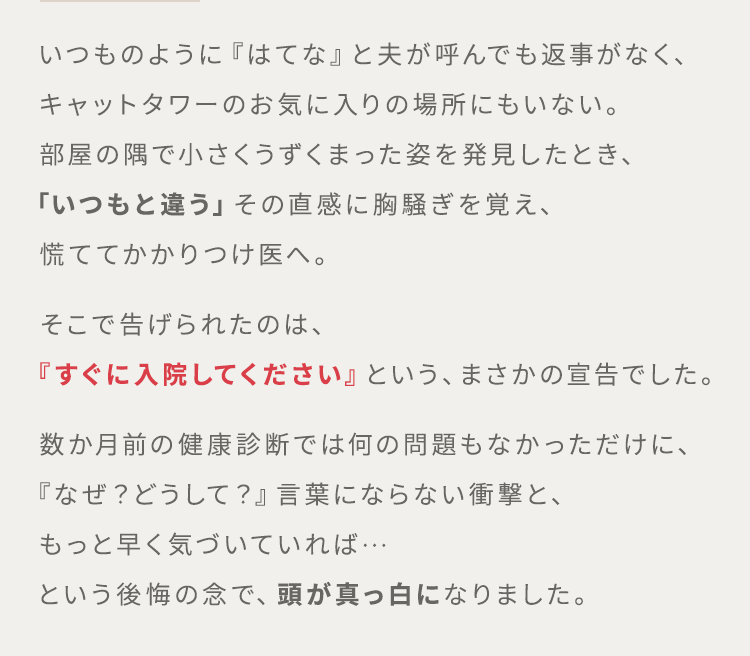 いつものように『はてな』と夫が呼んでも返事がなく、キャットタワーのお気に入りの場所にもいない。部屋の隅で小さくうずくまった姿を発見したとき、「いつもと違う」その直感に胸騒ぎを覚え、慌ててかかりつけ医へ。そこで告げられたのは、『すぐに入院してください』という、まさかの宣告でした。数か月前の健康診断では何の問題もなかっただけに、『なぜ?どうして?』言葉にならない衝撃と、もっと早く気づいていれば…という後悔の念で、頭が真っ白になりました。