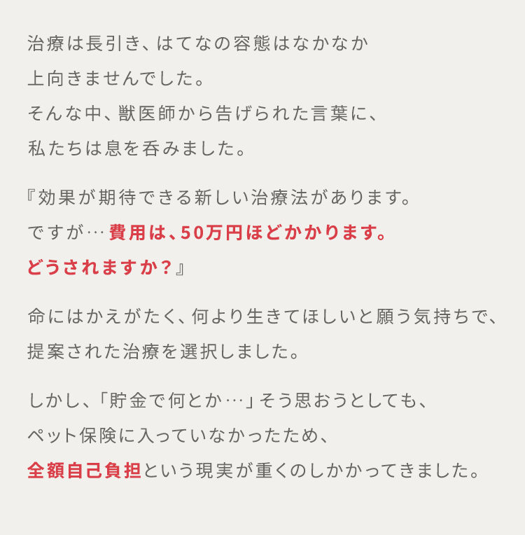 治療は長引き、はてなの容態はなかなか上向きませんでした。そんな中、獣医師から告げられた言葉に、私たちは息を呑みました。 『効果が期待できる新しい治療法があります。ですが…費用は、50万円ほどかかります。どうされますか?』命にはかえがたく、何より生きてほしいと願う気持ちで、提案された治療を選択しました。しかし、「貯金で何とか…」そう思おうとしても、ペット保険に入っていなかったため、全額自己負担という現実が重くのしかかってきました。