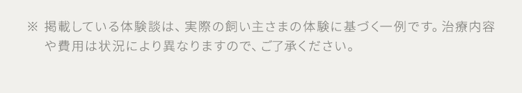 ※ 掲載している体験談は、実際の飼い主さまの体験に基づく一例です。治療内容 や費用は状況により異なりますので、ご了承ください。